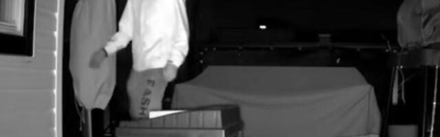 Postavila kameru u dvorište zbog životinja, pa se zaprepastila: Jeziv prizor je prestravio "Sada uveče ostavljamo prepreke na vratima"