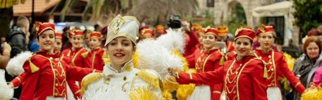 Mimoza stiže na Zlatibor