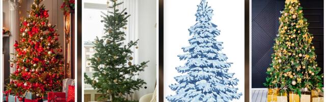 Božićni TEST LIČNOSTI: Izaberite jelku i otkrijte kako da PREŽIVITE praznični stres