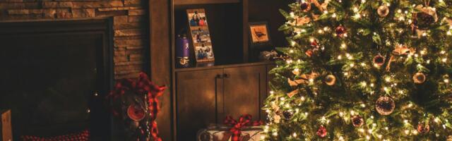 Koja su najgora i najbolja mesta u kući za vašu jelku prema Feng šuiju?