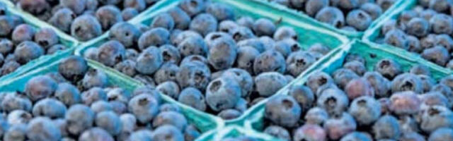 Купци траже све мања паковања бобичастог воћа