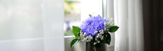 Da li redovno perete zavese? Stručnjaci otkrivaju koliko često je dovoljno i ko mora da ih pere češće