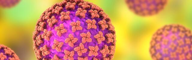 Preživela hantavirus pre 30 godina, njena priča je jeziva: Majka joj rekla da će možda da se "probudi u raju"