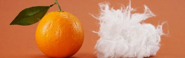 Šta je Pyratex vlakno koje Loewe koristi i zašto je “big deal” za održivu modu?