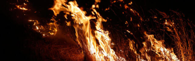 Роботски пси и 6Г технологија у новој мисији раног откривања пожара