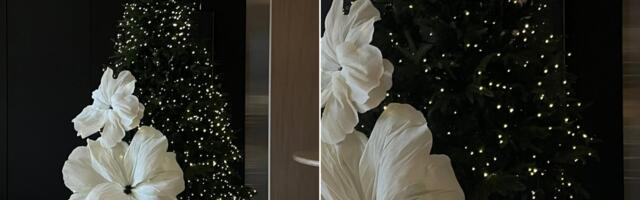 Ukoliko još uvek niste okitili jelku, ne brinite –  izdvojili smo 10 ideja za savršenu dekoraciju