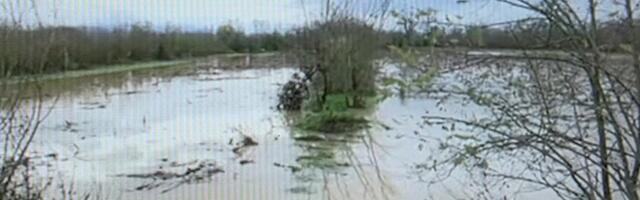 Uvedena vanredna odbrana od poplava na Južnoj Moravi kod Vranja