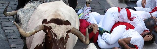 PET TRKAČA POVREĐENO NA TRCI S BIKOVIMA U ŠPANIJI: Čuveni festival u Pamploni okupio hiljade posetilaca iz celog sveta