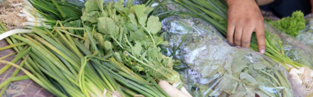 УН упозоравају: рат гура свет ка рекордној глади