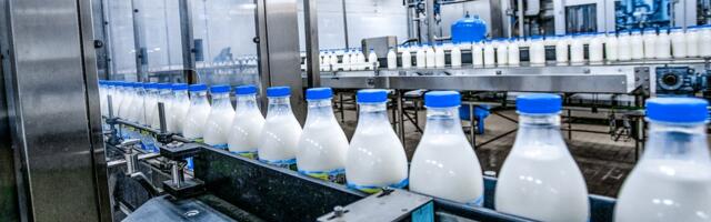 Glamočić: Država će će se baviti suzbijanjem nelegalnog uvoza mlečnih proizvoda