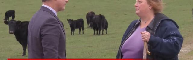 Porodica iz SAD odbila ponudu od 26 miliona da proda poljoprivredno zemljište za AI data centar: "Nismo glupi"