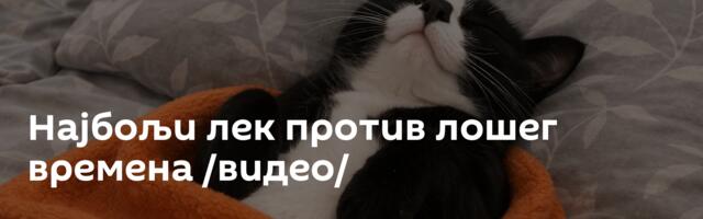 Најбољи лек против лошег времена /видео/