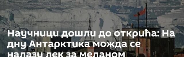 Научници дошли до открића: На дну Антарктика можда се налази лек за меланом