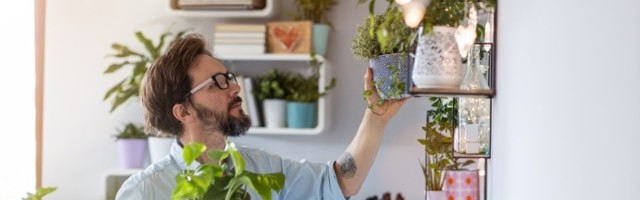 Ovu biljku svaka treba da ima: Noću proizvodi kiseonik, danju čisti vazduh