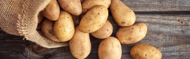 Ljubodrag Stojadinović: Krompiri lete u nebo