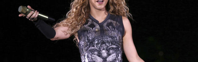 TRAGEDIJA PRED KONCERT SLAVNE PEVAČICE! Radnik poginuo tokom priprema, nisu uspeli da ga spasu!