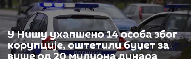 У Нишу ухапшено 14 особа због корупције, оштетили буџет за више од 20 милиона динара