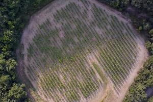 Вина из друге димензије – винарија у кратеру метеорита