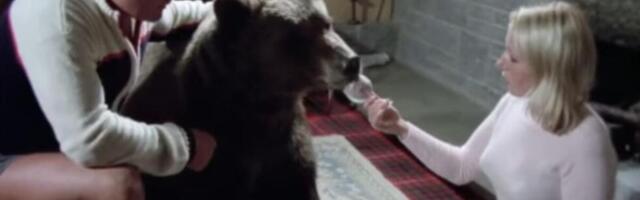 KUPILI MEDVEDA, PA GA ODGAJALI KAO SINA! Živeo sa njima u kući, a onda se desilo nešto zbog čega su LILI GORKE SUZE