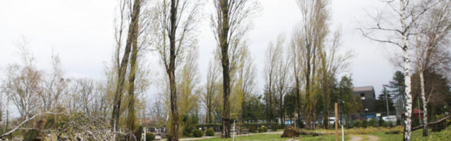 Због орканске буре затворени путеви и трајектне линије на хрватском приморју