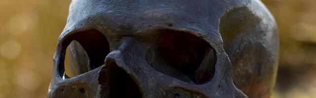 Ljudska lobanja pronađena tokom potrage za uskršnjim jajima u parku u Kaliforniji