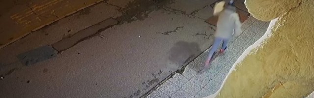 DVA MLADIĆA OSUĐUJE CELA SRBIJA! Ukrali dekorativne medvediće namenjene ZA LEČENJE BOLESNE DECE u Pančevu! /VIDEO/