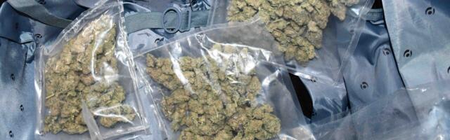 Uhapšen Nišlija (34), policija pronašla više od 2,6 kilograma marihuane u automobilu i stanu
