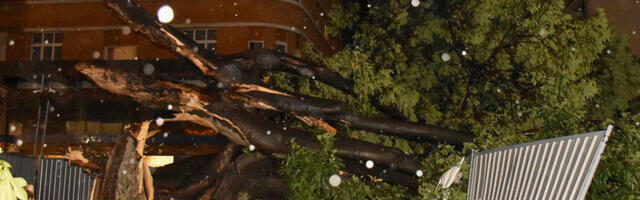 Novi Sad: Dvanaestogodišnje dete poginulo u oluji