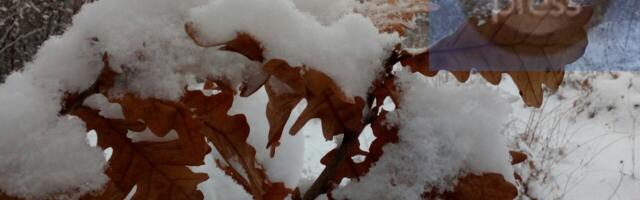 RHMZ: Zima se vraća na jugoistok Srbije posle vikenda