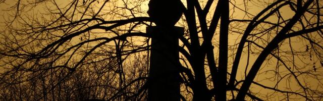 Mogući su glavobolja i pad energije: Bioprognoza za 8. april