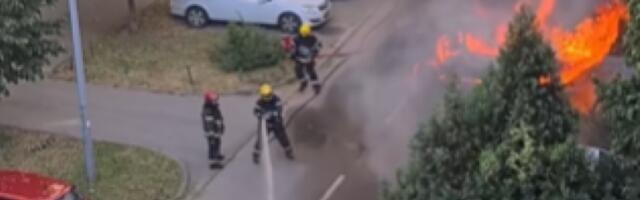 HAOS U NOVOM SADU! GORI AUTOMOBIL NA DETELINARI: Vatrogasci se bore sa stihijom (VIDEO)