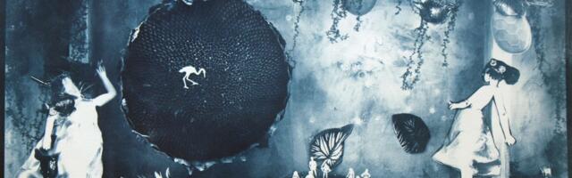 Izložba dr Dubravke Lazić “Pričam ti priču”