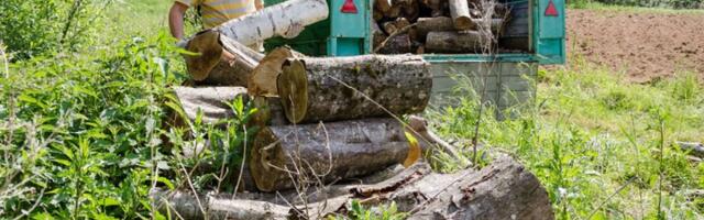 Inicijativa "Košutnjak ostaje" podnela krivičnu prijavu zbog nezakonite seče šume