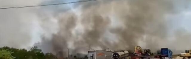 Veliki požar u Batajnici, vatra se brzo širi (VIDEO)
