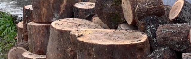 Hajrat obezbijedio ogrijev za najugroženije porodice u Priboju