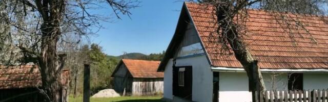 Danas je jedna od najplaćenijih pevačica u regionu, na slavljima zgrće ozbiljnu lovu, a ODRASLA USRED ŠUME: Do njene kuće se zimi jedva dolazilo zimi