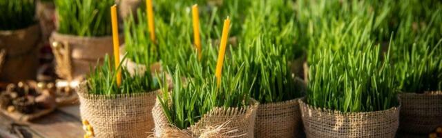 Pola Srbije jako greši, pa ispadne bruka i sramota: Evo kako se pravilno čestitaju Badnji dan i Božić