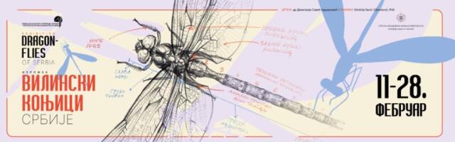 "VILINSKI KONJICI SRBIJE" Čudesna Izložba u Beogradu, od najranijih pisanih pomena ovih insekata u Kneževini Srbiji! Kad se pare, formiraju oblik srca