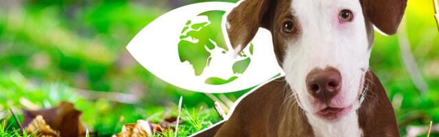 CITES i Tridej u danu 3/3: Šta stvarno radimo da spasimo ugrožene vrste i životinje sa invaliditetom