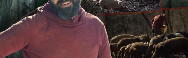 NIKOLA BORIĆ MILIONE DAO PRIJATELJIMA I OTIŠAO U ŠUMU DA ŽIVI Sada je opet šokirao: "Samo konj i ja, 3.500 km"