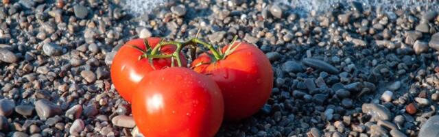 Dalmatinka o "paradajz turistima" u Hrvatskoj