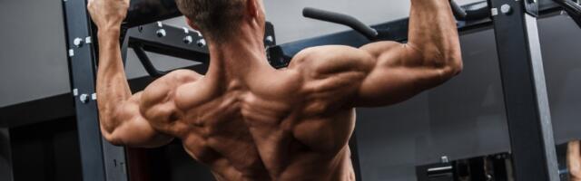 16 različitih načina na koje možete raditi zgibove