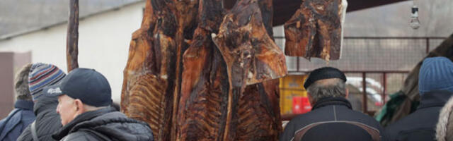 Опасност током свињокоља: Апел грађанима због трихинеле