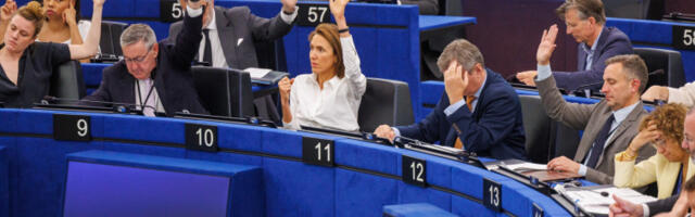 Сукоб у Европском парламенту због увреда на рачун посланице