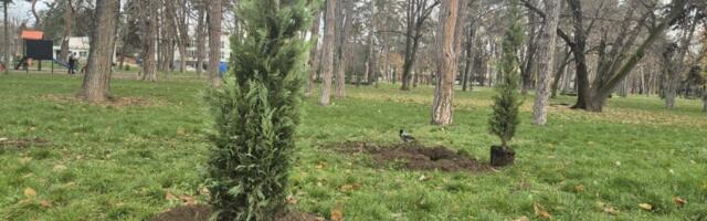Veliki park obogaćen novim lišćarima i četinarima (FOTO)