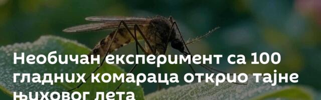 Необичан експеримент са 100 гладних комараца открио тајне њиховог лета