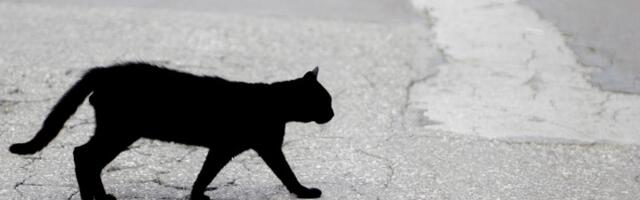 "Valja, ne valja": Je l' moguće ignorisati sujeverje?