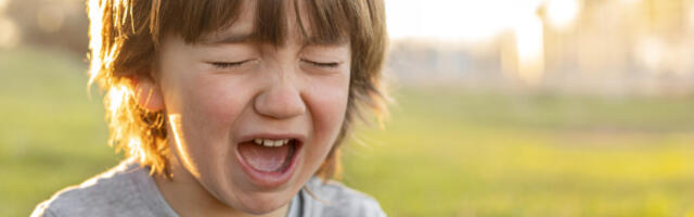 Sjajan trik, kako da lako smirite, ljutito dete: Gde je Džesika? (VIDEO)