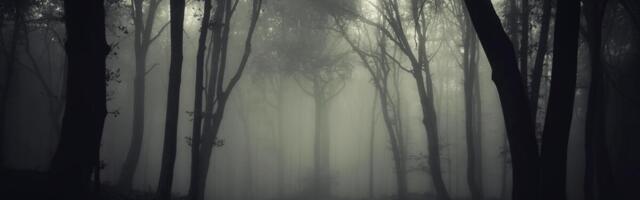 MARIJA JE 18 GODINA ŽIVELA SAMA SAMCIJATA NA PUSTOM OSTRVU, A ONDA... Nakon spasavanja preživela SAMO 7 NEDELJA