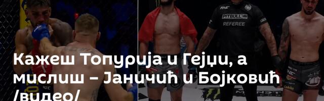 Кажеш Топурија и Гејџи, а мислиш – Јаничић и Бојковић /видео/